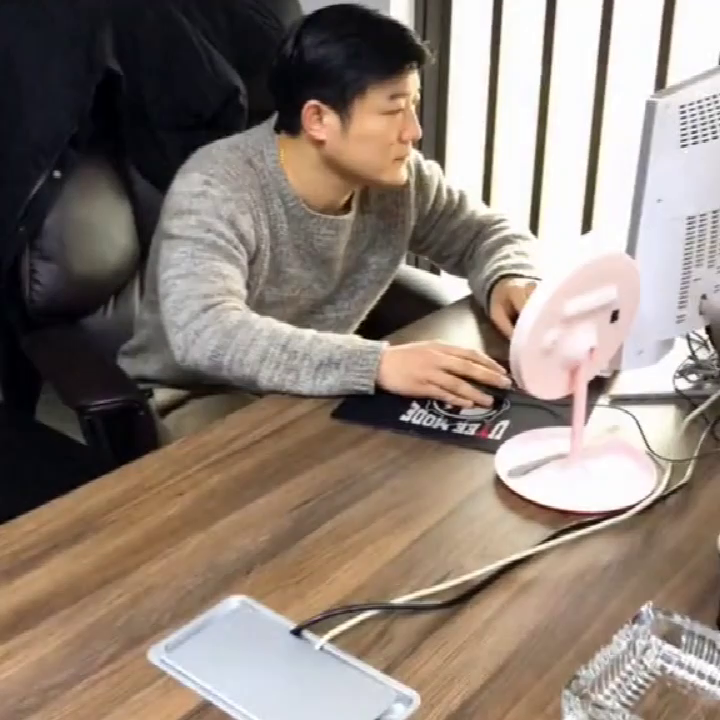 再三再四,美味鸽子一只,清汤一份是什么生肖仔细释义、解释与落实、构建解答解释落实